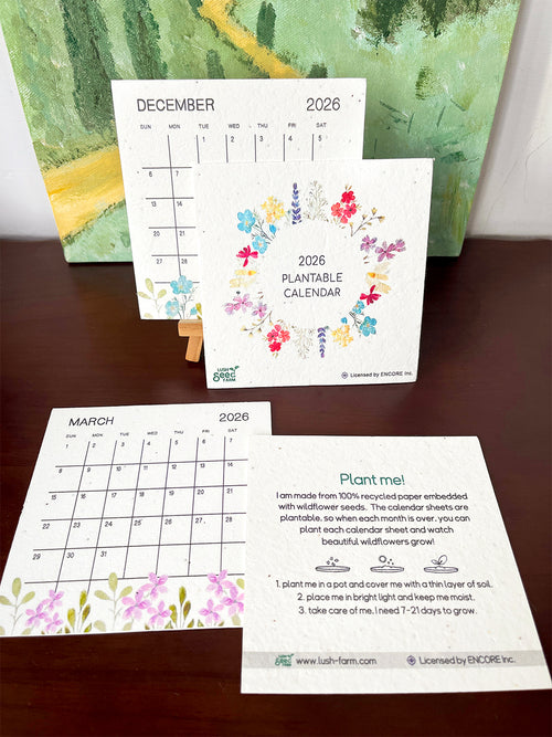 Plantable Desk Calendar 2026