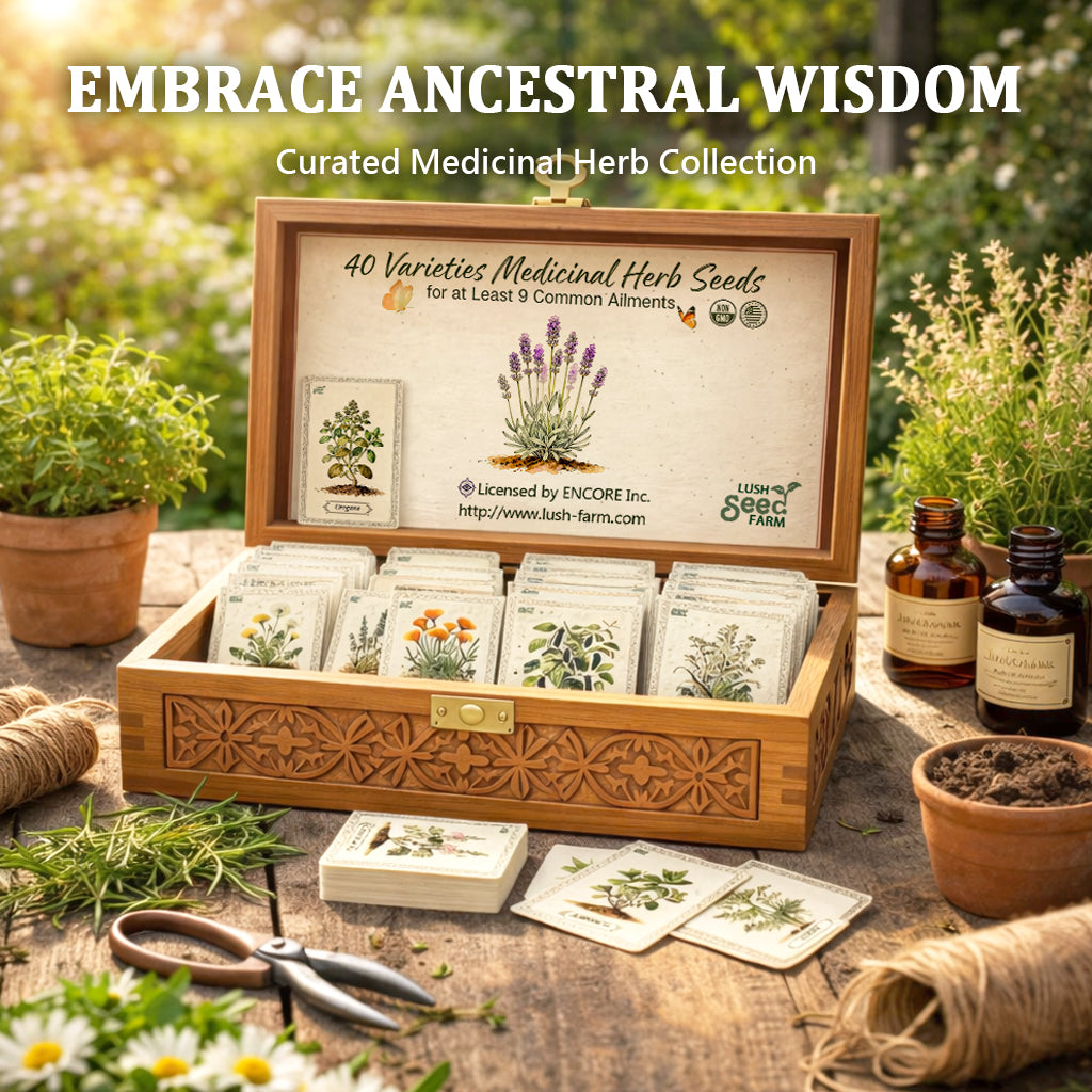 Plantable Herb Garden Seed Cards image 2