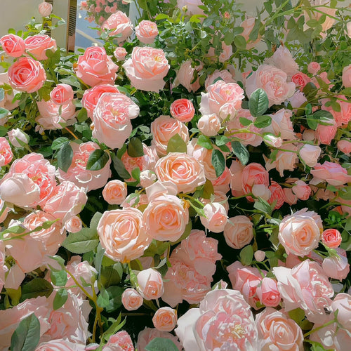 Climbing Rose Seeds image 2
